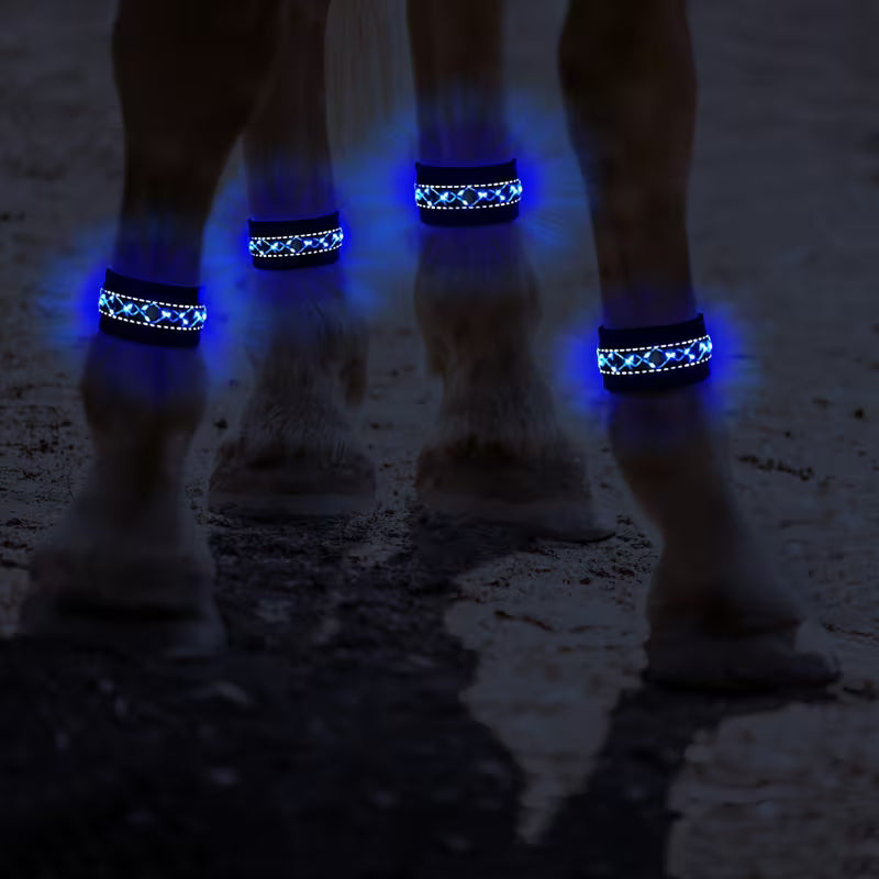 Cavallo LED & Reflex™ LEG – Synlighet i mörkret