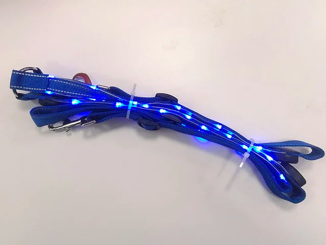 Cavallo LED & Reflex™ – Synlighet i mörkret