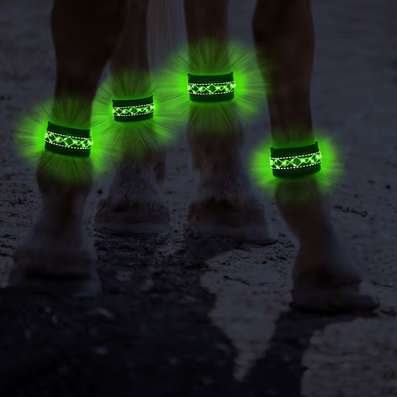Cavallo LED & Reflex™ LEG – Synlighet i mörkret