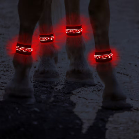 Cavallo LED & Reflex™ LEG – Synlighet i mörkret
