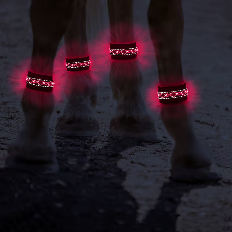 Cavallo LED & Reflex™ LEG – Synlighet i mörkret
