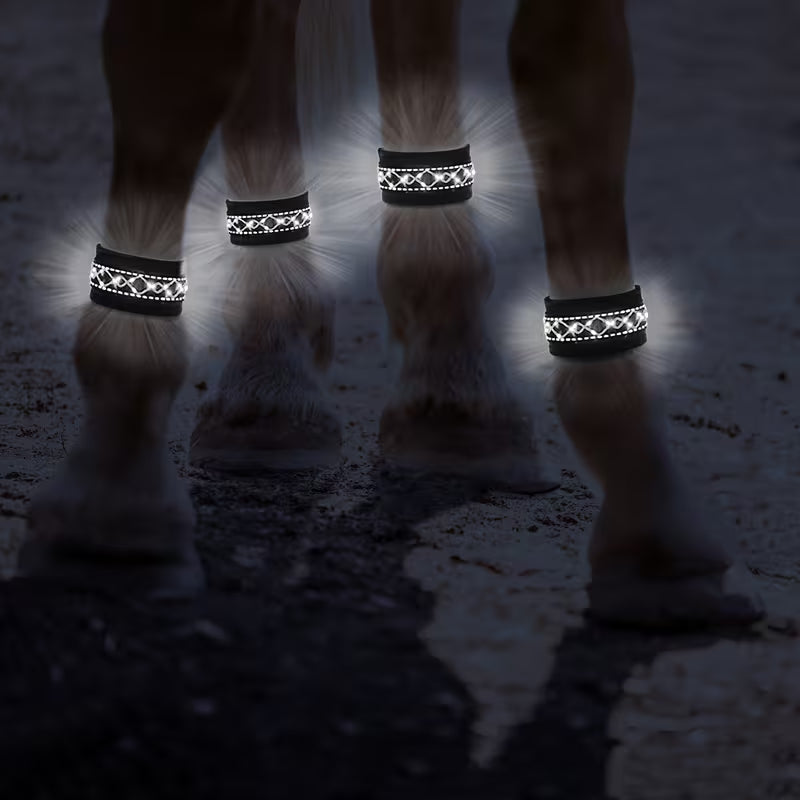 Cavallo LED & Reflex™ LEG – Synlighet i mörkret
